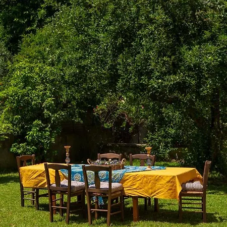 Lygia Lygia (Lefkada)